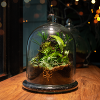 Cloche personnalisée Terrarium dôme de forêt en verre transparent Terrarium Pot de plante
