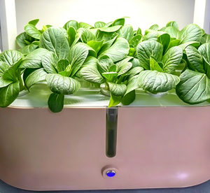 Système de culture hydroponique intelligent à 3 niveaux avec éclairage LED pour herbes et légumes <span class=keywords><strong>d</strong></span>'<span class=keywords><strong>intérieur</strong></span> - Product Image 3