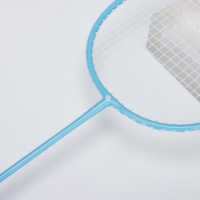 Juego de Raquetas de Fibra de Aleación de Hierro de Gran Resistencia, Doble Impacto, Duraderas, para Entrenamiento Profesional y Principiantes