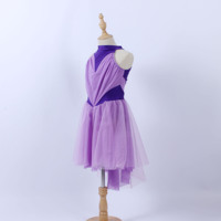 Robe de danse latine violet clair foncé, tulle doux, tenue de danse pour fille, costume de danse lyrique pour adulte, performance scénique