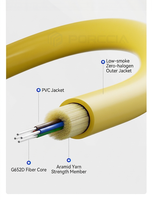 Câble optique intérieur pour centre de données, 12/24 fibres, G.652D monomode, gaine de distribution OS2 LSZH à gaine serrée