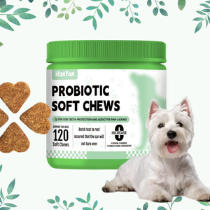 תווית פרטית לחיות מחמד פרו-ביוטיקה טבעית תוספת לעיסה לכלבים עם אנזימים & פרביוטיקה אומץ תמיכה בריאותית לכלבים - Product Image 1