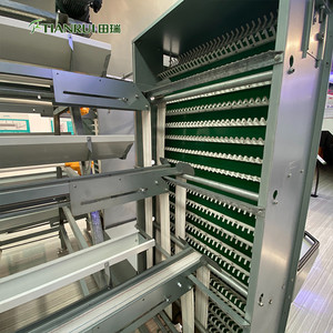 Fournisseurs d'équipements avicoles en Chine, cage à poules automatique de type H pour élevage avicole, obtenir un devis gratuit - Product Image 4