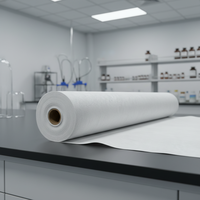 Geotextil de Refuerzo Antienvejecimiento, Tejido de Fibra Discontinua de Alta Tenacidad, Dimensionalmente Estable para Proyectos de Recuperación de Terrenos