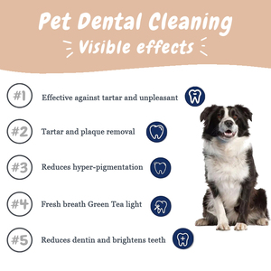 Poudre de nettoyage dentaire pour chiens OEM ODM avec vitamines pour un nettoyage facile des dents, une haleine fraîche et un nettoyage buccal sec - 90g - Product Image 3