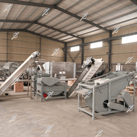Ligne de production de traitement d'usine Shea Nuts Sheller Cracker Noisette Amande Broyage Shelling Cracking Machine à vendre