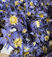 Fleurs de lotus bleues entières séchées, thé de fleurs de nénuphar sacré égyptien pour infusion de thé bien-être et encens, emballage cadeau