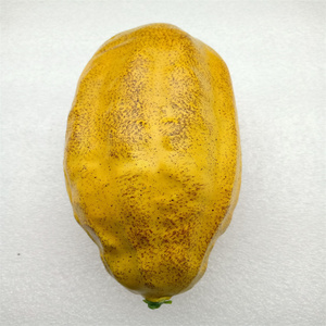 Mô phỏng cao và Giả Ca cao trái cây nhân tạo quán cà phê chụp đạo cụ trang trí trái cây phong cảnh - Product Image 2