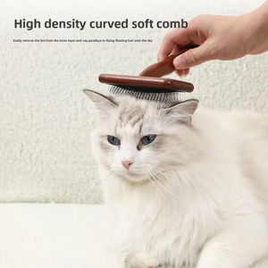 Cepillo de Aseo Personalizable para Mascotas Pequeñas, Peine de Madera Natural PD para Pelo, Cepillo Desenredante con Cuentas Adhesivas, Cojín de Aire y Cordón de Algodón de Púas Largas - Product Image 4