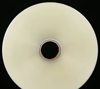 Film en rouleau de nylon BOPA holographique métallisé en aluminium, dernière nouveauté, pour la fabrication de ballons gonflables, vente en gros