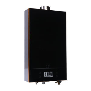 Calentador de agua a gas lp para el hogar, calefactor de paso a paso para gas y agua - Product Image 3