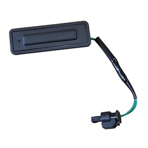 Interruptor de Maletero Opel Vauxhall 22902867 13597499 Negro, Pieza de Repuesto para Reparación de Puerta Trasera - Product Image 1