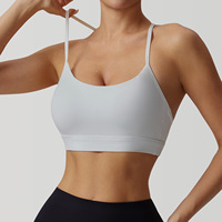 Soutien-gorge de sport pour adultes, haute élasticité, respirant, dos croisé, bretelles épaisses, antichoc, idéal pour le yoga et la gym (vente en gros)