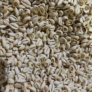 Conchiglie Naturali di Ciprea di Alta Qualità, Perle di Conchiglia Aperta, Conchiglie di Ciprea Lucidate per Gioielli Fai-da-Te, Collane e Bracciali - Product Image 2