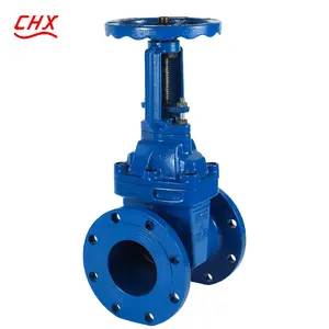 Meilleure vente Fabriqué en Chine BS5163 PN16 DN250 vanne de compteur d'eau en fonte ductile avec prix de gros