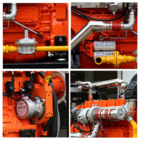 Generador de Gas Natural de 50kW 62.5kVA, Biogás, GLP, GNC, Combustible Dual, Trifásico, Silencioso, con Motor Cummins o Weichai Opcional y ATS