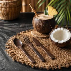 Wholesale Commercial Grade Coir Fiber Section Disposable Cutlery Set Biodegradable Disposable Fork Knife <b>Spoon</b> for Food Shop - Product Image 1