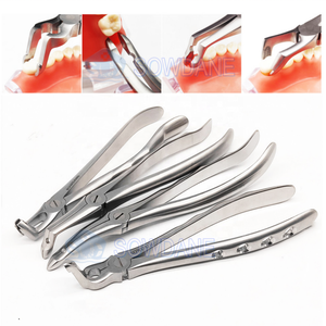 Frammento di radice Forcep dentale impianto di estrazione del dente Forcep denti del giudizio dentale pinza strumento chirurgico dentale strumento - Product Image 4