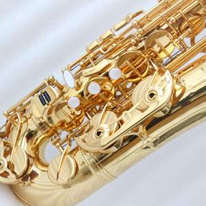 Saxofón C Melody <span class=keywords><strong>de</strong></span> Alta Calidad, Saxofón C Melody <span class=keywords><strong>de</strong></span> Latón Lacado en Oro con Estuche en Stock - Product Image 6