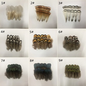 Plumes de faisan lavées en gros pour la fabrication artisanale, matériaux de décoration pour la pêche à la mouche, les coiffes de carnaval, les corsages et les chapeaux - Product Image 2
