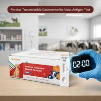 Kit de Prueba Rápida PTGV-Ag de Alta Sensibilidad, Identificación Eficiente de Patógenos Porcinos, Suite de Diagnóstico de Gastroenteritis Transmisible por Cerdos