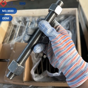 Edelstahl SS 304 316 DIN ISO ASTM A193 B8M B8 Klasse 1 2 Gewindestange Gewindebolzen Mit 2 Sechskantmuttern Mit Verfügbaren Mustern - Product Image 1