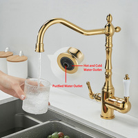 Mitigeur d'évier de cuisine européen monté sur le pont en or Robinets d'eau à double poignée Ensemble de robinet de cuisine en laiton chaud et froid avec pistolet
