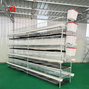 5000 Chim Gà Gia Cầm Trang Trại H Loại Pin Trứng Đẻ Gà Lớp Tự Động Lồng Gà Trong Zimbabwe Cho Bán - Product Image 5