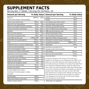 Comprimés de multivitamines véganes directement de l'usine avec riboflavine pour la santé cérébrale, favorisant la fonction énergétique et le soutien immunitaire - Product Image 2