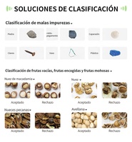 WESORT Fabricante 6SXZ-68LGB Maquinaria de procesamiento de frutos secos de acero inoxidable Clasificador de color de avellanas