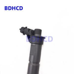 0445117031 dizel Common Rail yakıt enjektörü oto motor parçaları makine motorları parçaları Bosch Audi VW için - Product Image 5