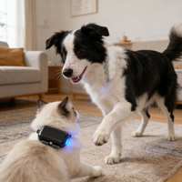 Étanche Anti-Perte GPS Pet Tracker Son et Lumière Merveille pour Chat et Chien IOS App Voir 1 An de Garantie
