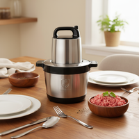 Machine à hacher la viande 6L 8L, mélangeur à piler le fufu, broyeur électrique multifonction portable pour viande, légumes, haricots, pour usage domestique