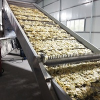 Petite machine de séchage au curcuma, usine de séchage d'oignons déshydratés, machine de déshydratation de flocons d'oignons, prix