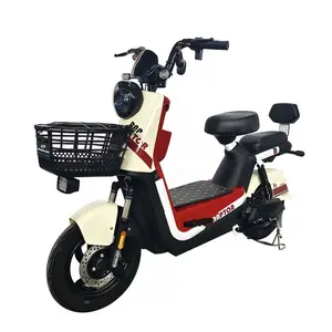 Bicicleta eléctrica de 14 pulgadas a la venta con pedales, scooter de dos asientos, bicicleta eléctrica de ciudad, scooters eléctricos para adultos de 500W, bicicleta de ciudad, motocicleta