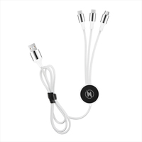 Coffret Cadeau de Câbles de Données Promotionnels à Logo Personnalisé - Câble de Recharge LED Tressé en Nylon de 1,2 m, Double Entrée USB Type C en Cuivre Pur