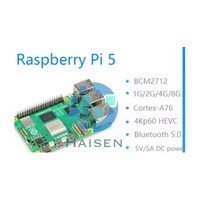Raspberry Pi 5 8G/16G/4G/2G RAM en option double USB 3.0 4GB ordinateur à carte unique BT 5.0