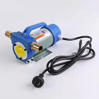 Pompe à carburant électrique portable 110V AC pour transfert d'huile de moteur diesel, moteur auto-amorçant 550W pour station-service mobile