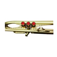 Seasound Professional JYTR409HS BB Tone Trumpet OEM Imitation Vintage Trompetta with Gold Lacquer Brass Body
