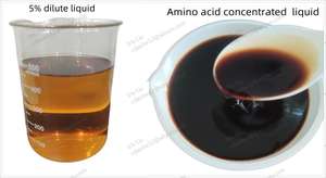 אמינו 80 אורגני אבקה הידרוליזה חומצה אנזימטית חומצות אמינו אנזימטיות לחלוטין מסיסות מים - Product Image 3