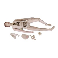 Maniquí de Entrenamiento de Enfermería Femenina para Ciencias Médicas, Modelo Avanzado de Cuidado Femenino, Material PVC, Marca Yulin, CE/ISO