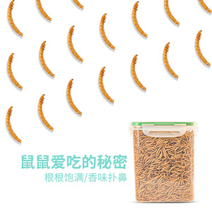 <b>Dried</b> <b>Mealworms</b> 4L Plastic Container For Hamsters Reusable Small Animal Feeder - Product Image 1