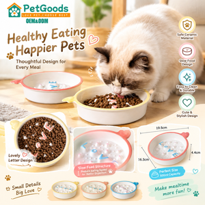 Ciotola in Ceramica Anti-Ingozzamento per Cani e Gatti, 500ml, Rialzata, per Razze Piccole, Vendita all'Ingrosso - Product Image 2