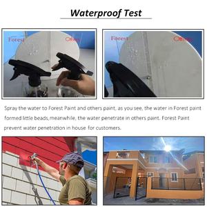 FOREST Brand Paint fornitori prezzo colori esterni casa dipinge pura emulsione acrilica pittura per pareti <span class=keywords><strong>esterne</strong></span> per la casa Anti Crack - Product Image 2