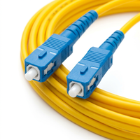 Cordon de raccordement fibre optique XINHAOZE SC-SC/UPC-Simplex 9/125 SM pour FTTx/LAN sans fil, garantie 1 an, CN