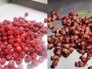 เครื่องแยกเมล็ดอินทผลัม มะเดื่อ มะกอก เชอร์รี่ พร้อมมอเตอร์ 220V/380V 1.5KW - Product Image 4