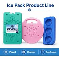 Briques de gel réutilisables ultra-minces pour glacière, sans BPA, non toxiques, à froid longue durée, pour boîte à lunch