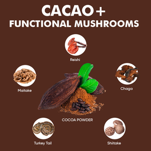 Poudre de chocolat chaud aux champignons, supplément de latte au <span class=keywords><strong>cacao</strong></span> non sucré aux 5 champignons, marque privée - Product Image 5