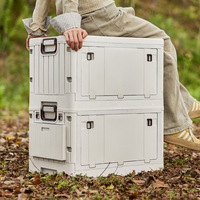 Boîte de rangement pour table de camping en plein air, organisateur de coffre de voiture, tout-en-un, grande capacité, portable, multifonctionnel, pliable, bac de tri