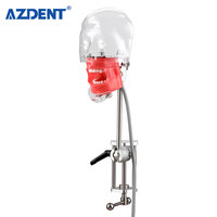 Simulador de modelo de cabeza Simple Dental de alta calidad, modelo de dientes para práctica, educación de dentista, enseñanza de estudio